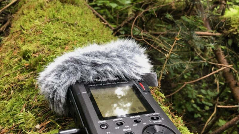 Anna Nacher: Ear to the Ground: Recording the Field
