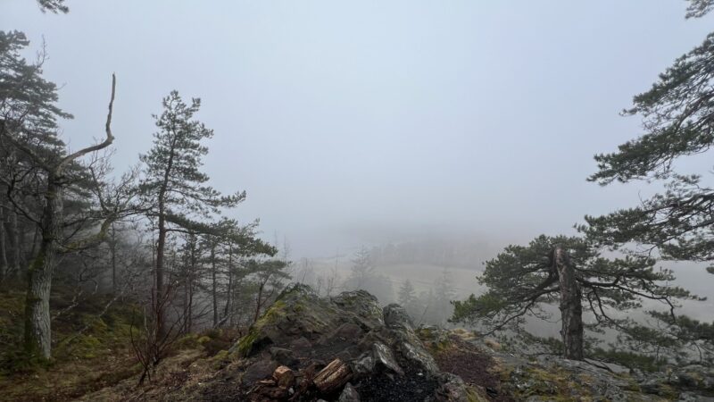 Brona Martin: MOSS – Mapping Otherworld Soundscapes